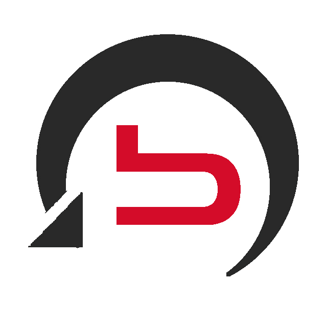 BSC Data Recovery